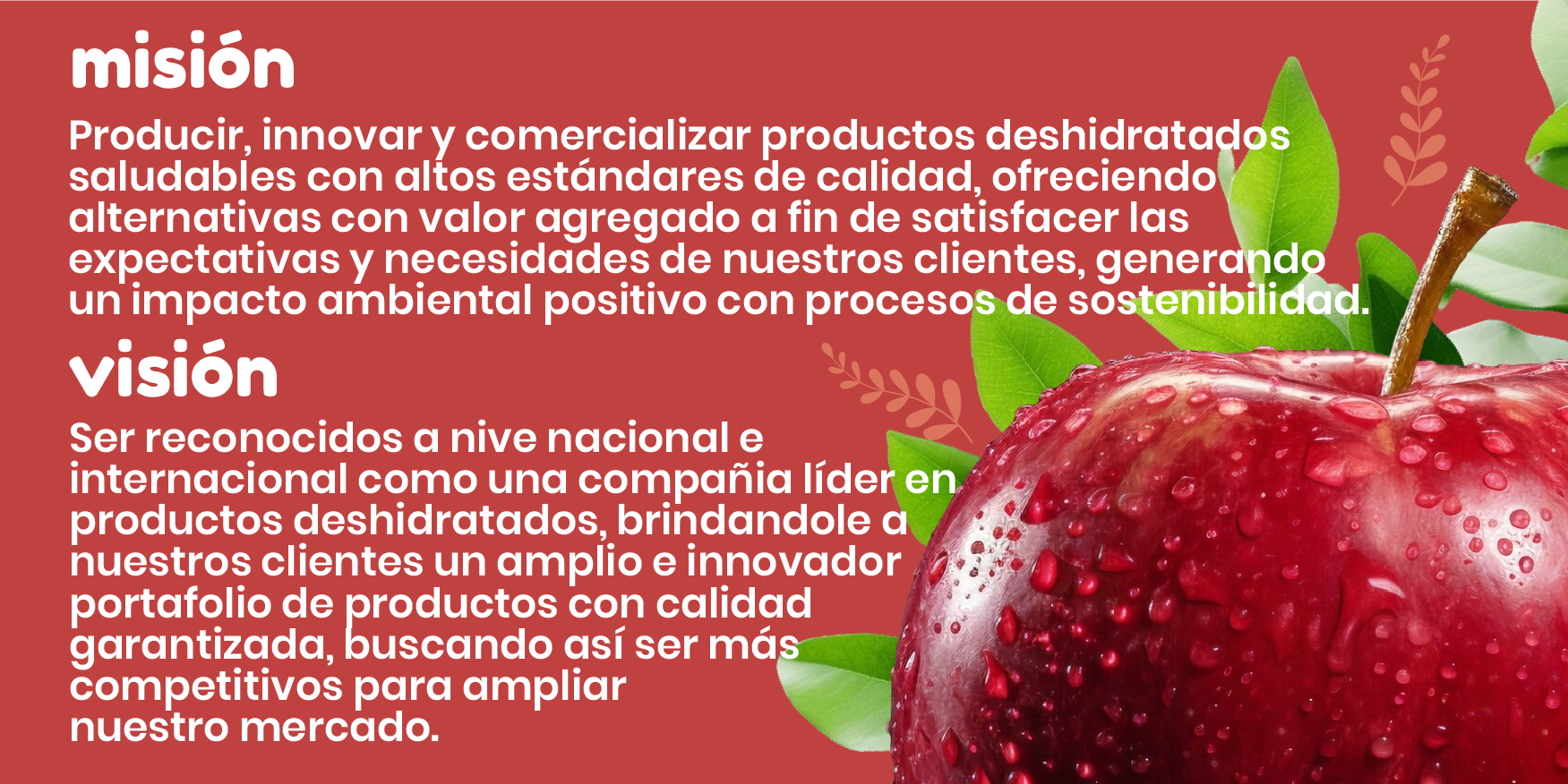 Mision y Vision